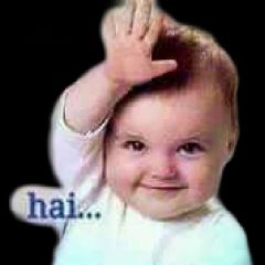 Rotilal deselva kinrara.